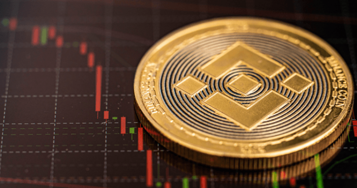 BNB Joins USDe’s Backing, XRP and HYPE Next in Line