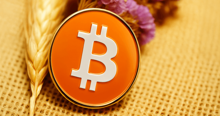 Bitcoin Price Watch: Traders Brace for Volatility After Tight Price Coil