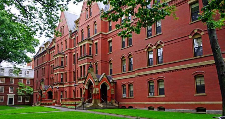 Harvard Economist Admits $100 BTC Prediction Fail, Blames Regulation and Underground Economy