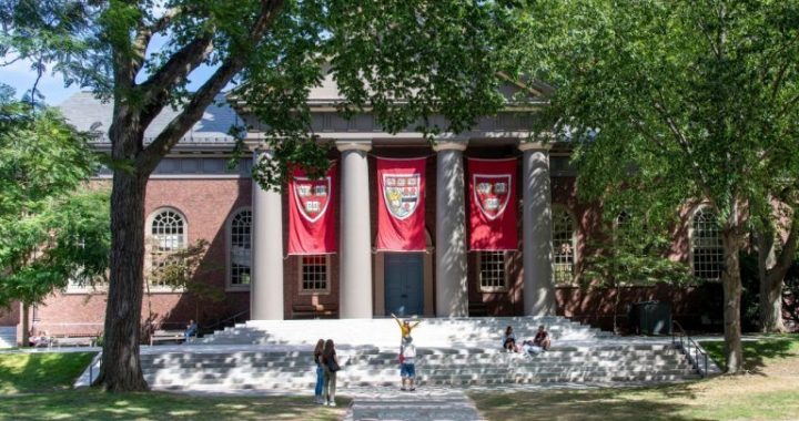 Harvard Professor and Ex-IMF Chief Economist Offers Excuses for Misjudging Bitcoin a Decade Ago