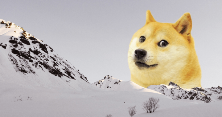 Meme Coin Market Climbs 23.9% Since Early July, Adding $14 Billion