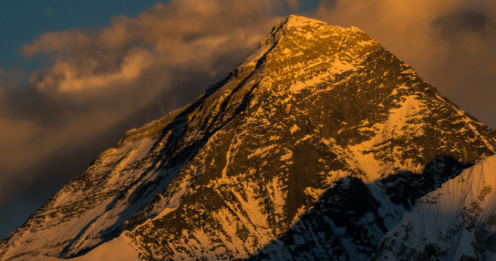 Peaks and Pitfalls: Top 10 Crypto Assets Split Between Fresh Highs and Old Lows