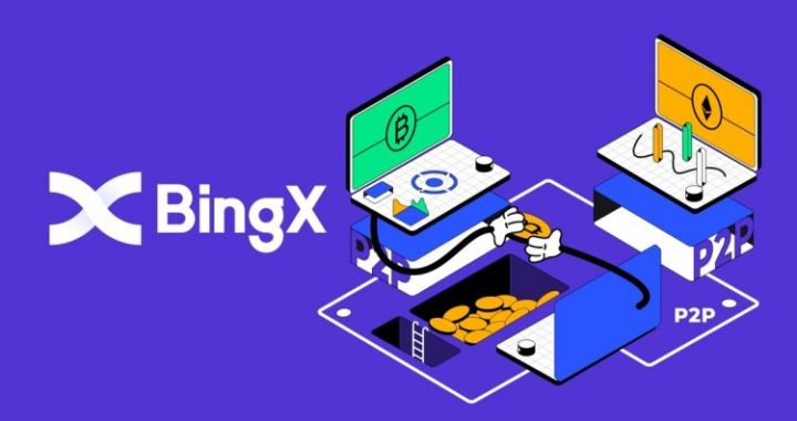 BingX – ваш выбор в пользу прибыльной торговли в 2025 году