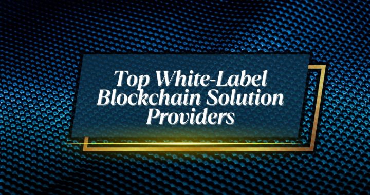 Top 10 White Label Blockchain Solution Providers