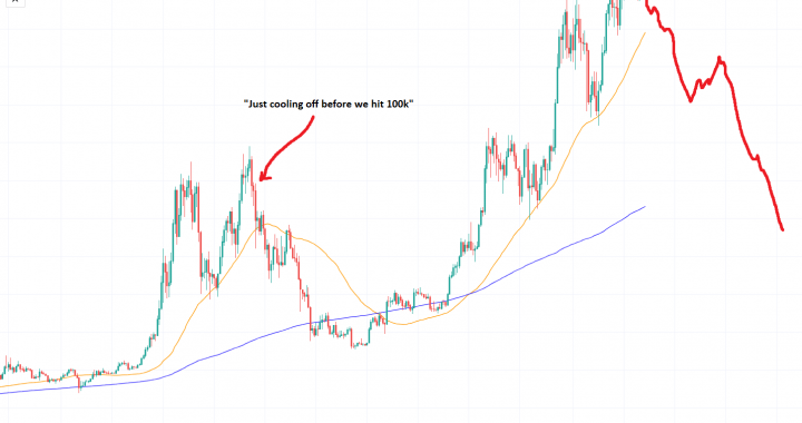 As Bull Crypto Market Heads South: What’s Next For Bitcoin in 2025?