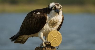 REX-Osprey to debut first XRP ETF in the US this week