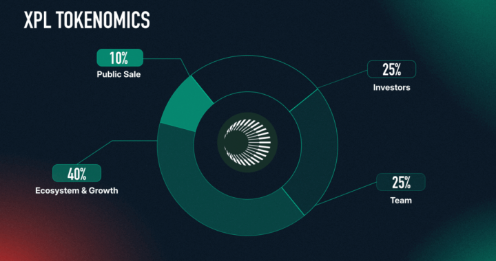 What is Plasma (XPL)?