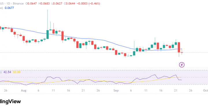 BubbleMaps Big BMT Bounty: 3% of BMT Crypto Fenced For Scam Hunters