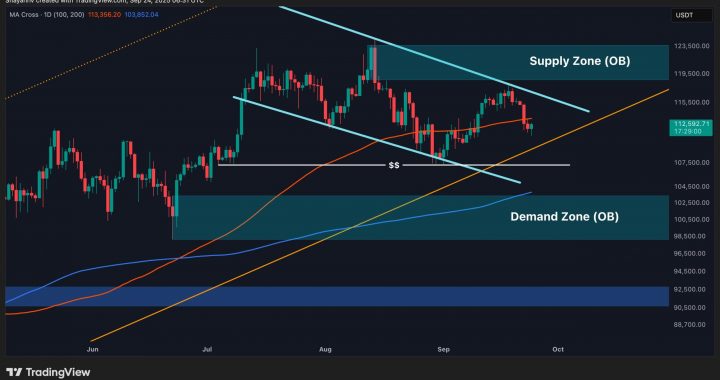 Bitcoin Price Analysis: Will BTC Drop Below $110K This Week?