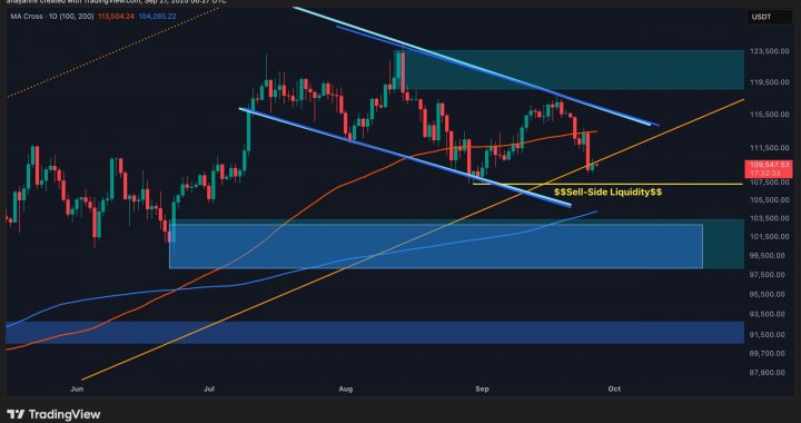 Bitcoin Price Analysis: BTC Sinks Below Crucial Support – What’s Next?