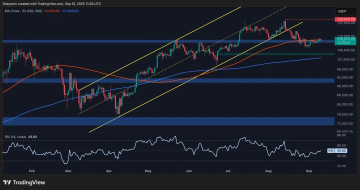 Bitcoin Price Analysis: BTC Battles Key Resistance on Path to New ATH