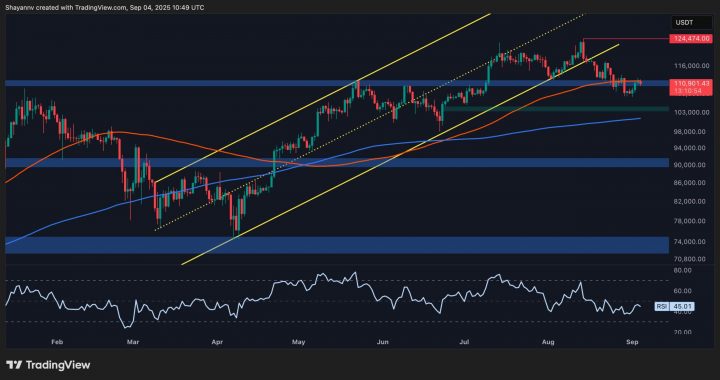 Bitcoin Price Analysis: Will BTC Crash Below $100K if This Support Breaks?