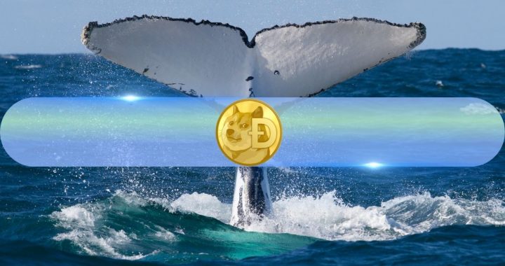 How Are DOGE Whales Reacting to Possible Dogecoin ETF? Santiment Weighs In