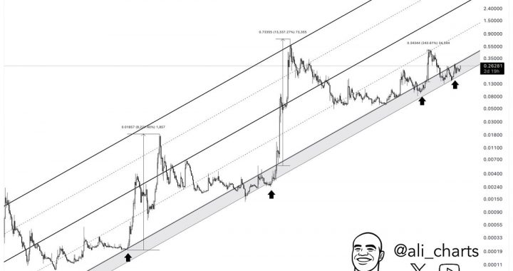 Dogecoin In Buy Zone: Bulls Eye $0.34 As Immediate Target