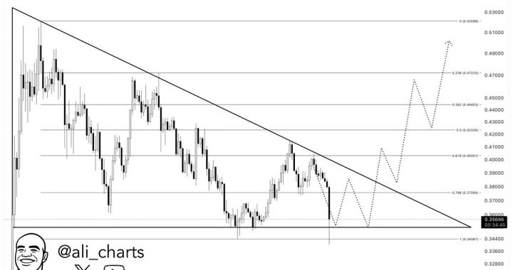 Is This the Calm Before XLM’s Jump to $0.50?