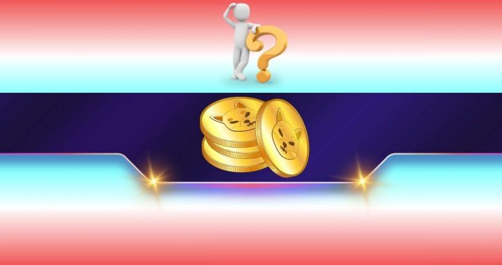 Shiba Inu (SHIB) Panic: Did Its Lead Developer Really Leave the Project?