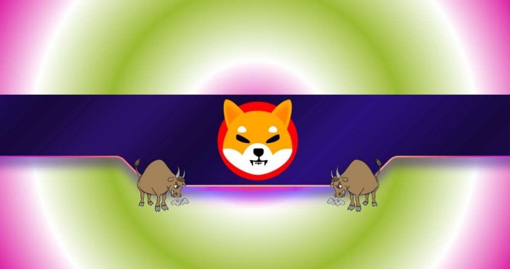 3 Reasons Why Shiba Inu (SHIB) Might be Poised for a Rally