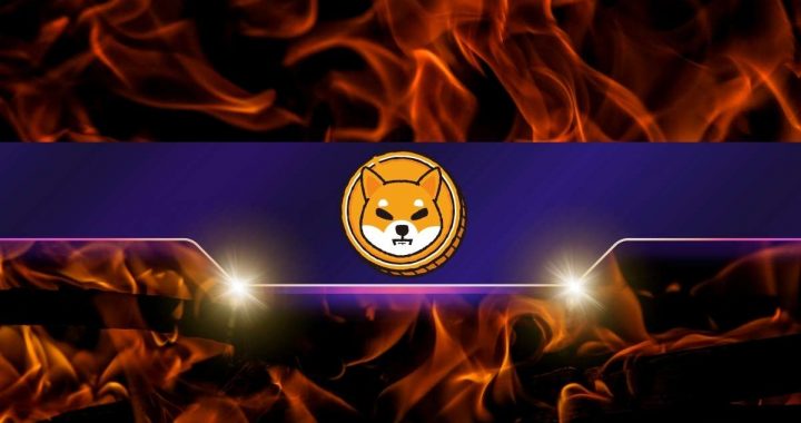 Shiba Inu Burn Rate Skyrockets 200,000% in 24 Hours – Is a Price Surge Next?