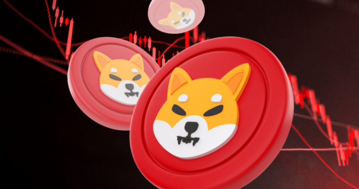 Chainlink Integration Brings Shiba Inu Into New Crosschain Market — What You Should Know