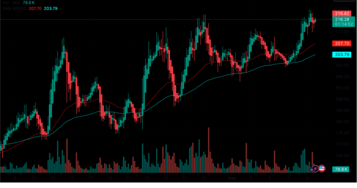 HYPE Crypto Hits All-Time High: Outperforming SOL for Q4?