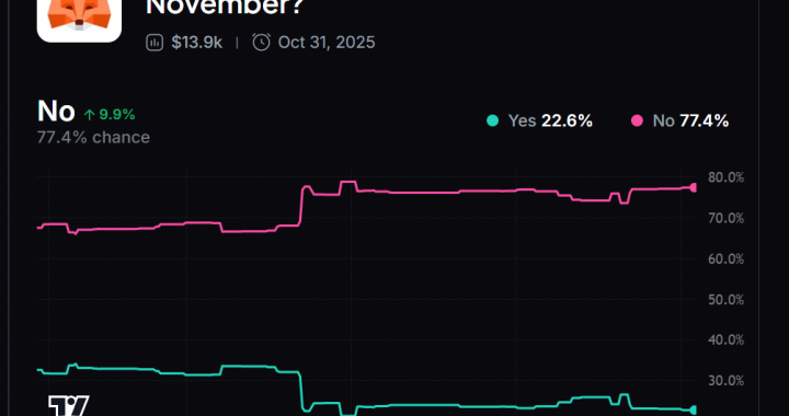 Everything to Know For New MetaMask Token