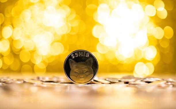 Shiba Inu Active Addresses Crash Over 50% In 3 Months, What About SHIB Price?