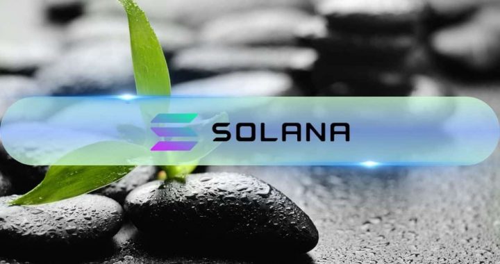 Solana (SOL) Has the Perfect Recipe for a Massive Rally, Bitwise’s Matt Hougan