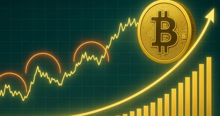 Bitcoin Mirrors Historical Pullback Ranges – Healthy Correction Or Trouble Ahead?