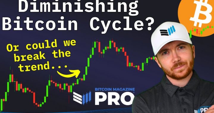 Will Bitcoin Price Defy Diminishing Returns This Cycle?