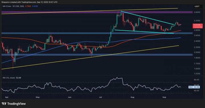 Ripple Price Analysis: XRP Forms Strong Base for a New All-Time High