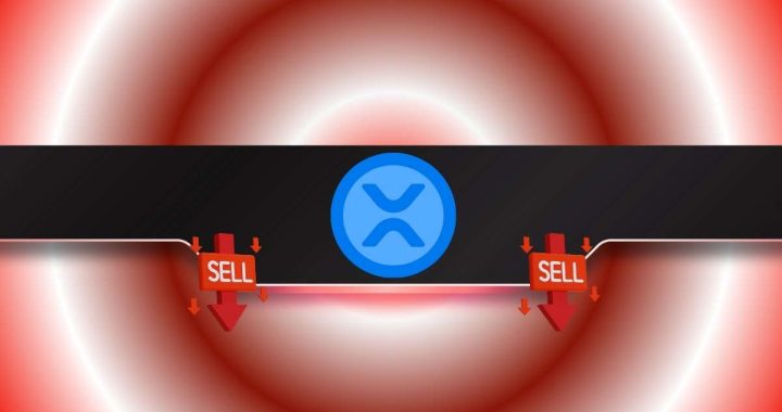 Ripple (XRP) at a Crossroads: Big Moonshot or Massive Drop?