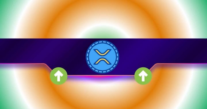 XRP Mega Cycle Signals Repeat of 2017 Face-Melting Rally