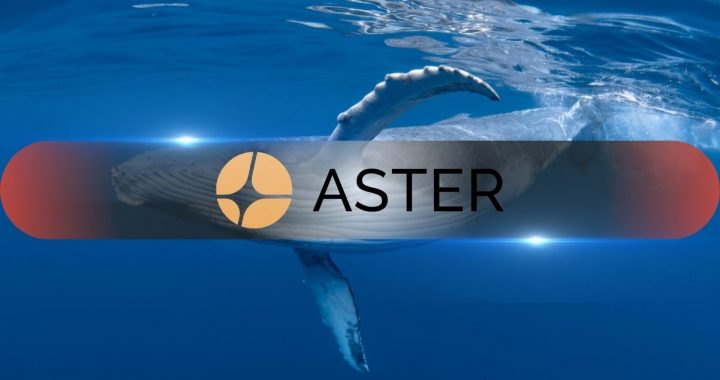 Whales Scoop Up Over  $48M in ASTER Within 24 Hours