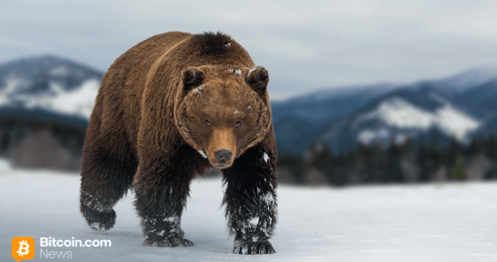 Bitcoin Price Watch: Bulls on Life Support as $111K Turns Into the Final Stand