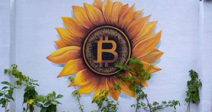 Blockchain Sleuth Points out El Salvador Might Be ‘Recycling Bitcoin’