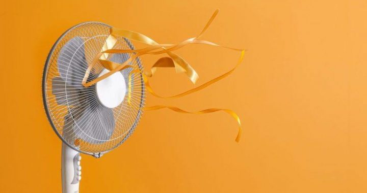 Bitcoin Hits $114K as Inflation Cools