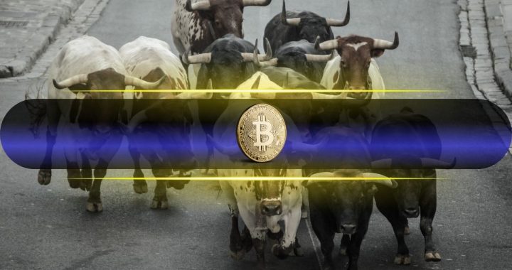 Bitcoin Price Reclaims $112K as Bull Market Sentiment Returns