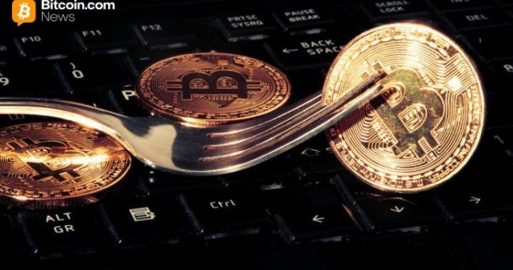 Knots Developer Luke Dashjr Plans Hard Fork To ‘Save Bitcoin’