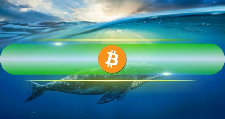 Dormant for 12 Years, Early Bitcoin Wallet Transfers 400 BTC Worth $44 Million