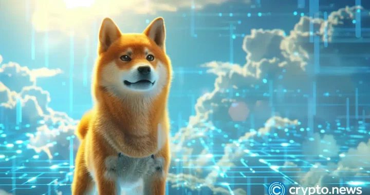 This new DOGE challenger could deliver generational wealth