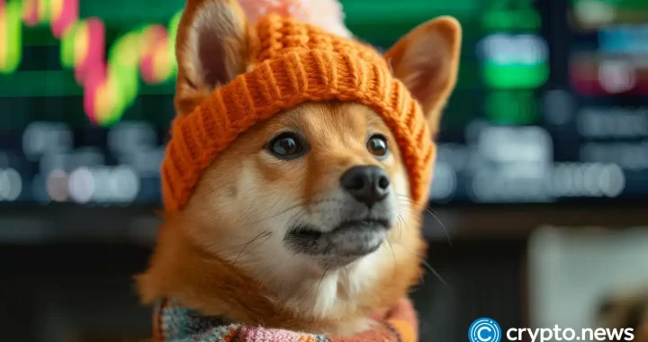 Dogwifhat price corrects with a hidden bullish divergence: is a reversal possible?