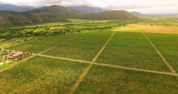 Georgia Secures $100M Partnership to Advance Tokenized Real‑World Asset (RWA) Agriculture