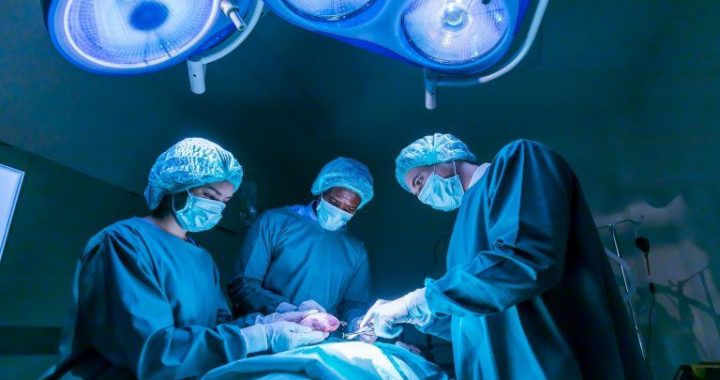 Putin and Xi Overheard Discussing Life Extension, Sparking Global Buzz