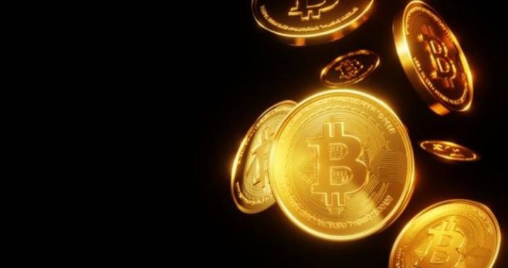 Bitcoin Treasury Purchases Down Amid Record Holdings – What Does This Mean?