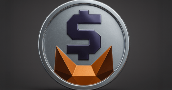 Metamask Taps Transak to Power Stablecoin Deposits, Adds mUSD Support