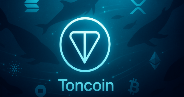Toncoin, Quant Seeing Whale Activity Explosion, Big Move Ahead?