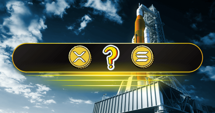 Only 24% of Altcoins Are Above Their 200-Day SMA – Is a Massive Buy Opportunity Brewing?