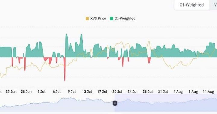 Is Binance Safu? North Korea Just Stole $13.5M in XVS Crypto Heist