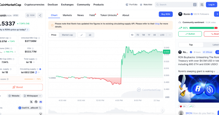 RON Crypto to Go Parabolic as Ronin Reveals Token Burns: Time to Buy?