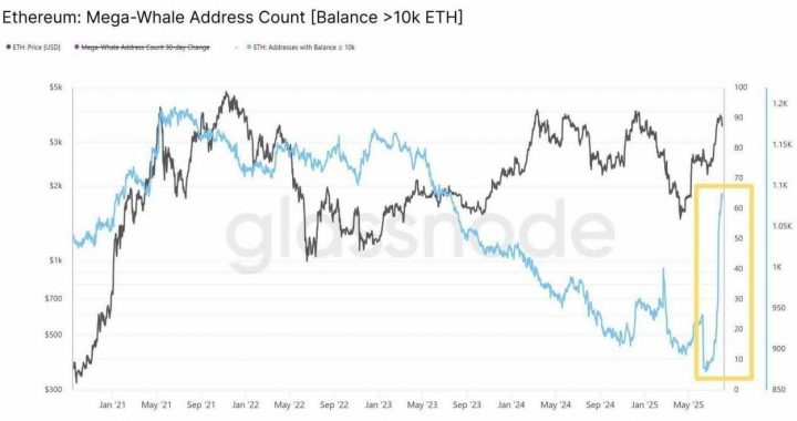 Is Ethereum Heading South? Week of Outflows Paint Bleak Picture for ETH USD